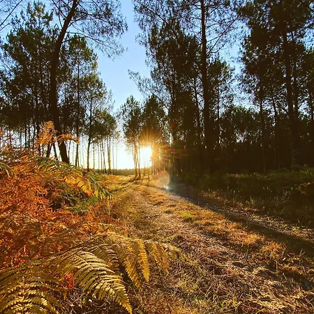 Hébergement de vacances Avec Piscine