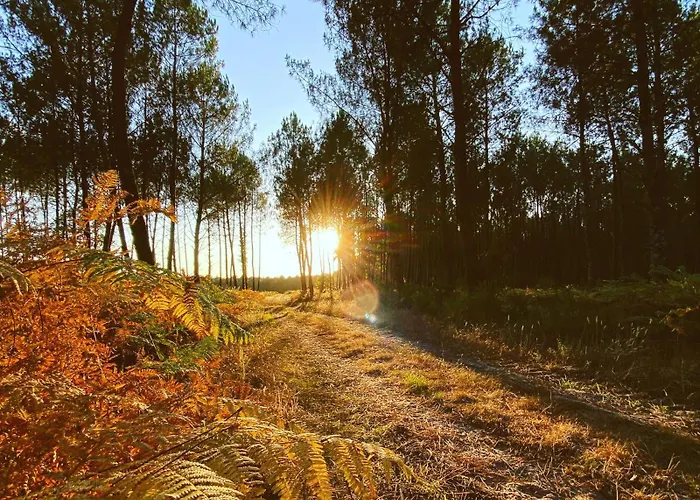 Ferienhaus Avec Piscine